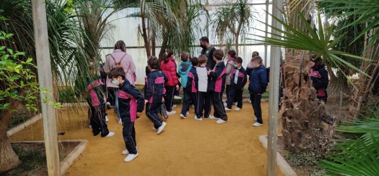 Contenidos