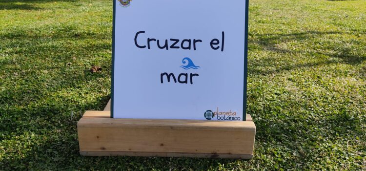 Metodología